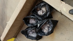bags of dryer vent lint from an apartment building