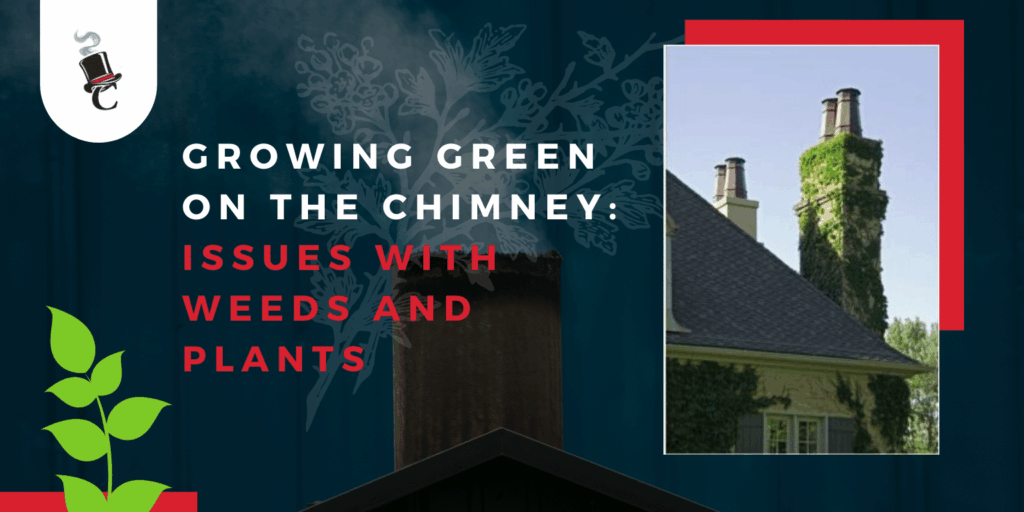 A chimney covered in thick green ivy beside a house roof, shown next to the headline “Growing Green on the Chimney: Issues with Weeds and Plants” on a dark teal graphic background.