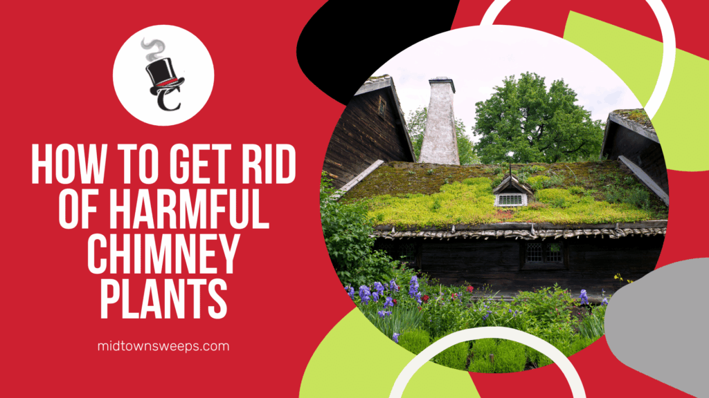 A red promotional graphic with the headline “How to Get Rid of Harmful Chimney Plants” beside a circular photo of a moss-covered roof with a chimney, trees, and flowers.