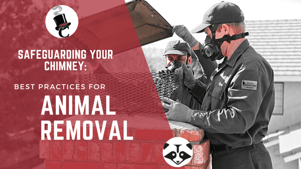 Safeguarding your Chimney Best Practices for Animal Removal Chimney Sweeps, Fireplace Repairs