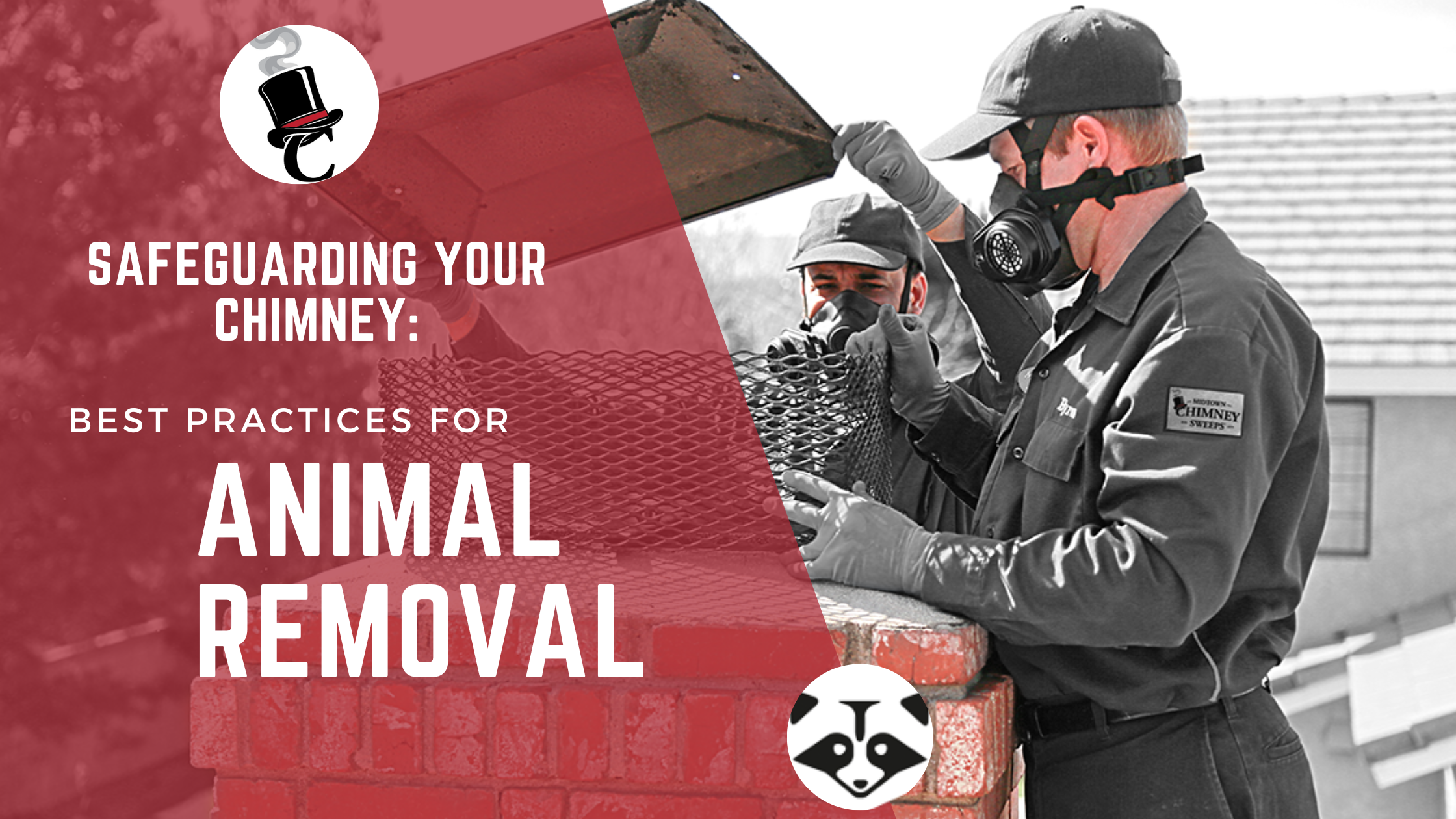 Safeguarding your Chimney: Best Animal Removal Practices